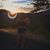 Ariana Fraysher's profile image