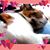 Cardwell Weiss M Nancy's profile image