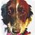 Cathy Ann Partida's profile image