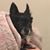 Ashley Wilson's profile image