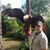 Chris Hahn's profile image