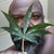 Hayward Jackson's profile image