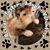 Colleen Carroll Crossan's profile image