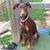 Judy Sopko's profile image