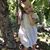 Brittani Brynien's profile image