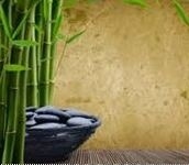 VL57's profile image