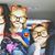 Cindy Hawthorne's profile image