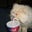 Claudia Filth's profile image