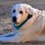 Paloma Glick's profile image