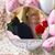 Lynne Perkins's profile image
