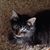 Krista Ebling's profile image