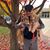 Brenda Craige's profile image