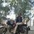 Nilesh Ahir's profile image