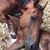 Shannon Smith's profile image