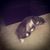 Deviree Solony's profile image