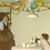 Daylene Rhyner's profile image