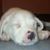 Jetta Chambers Kidwell's profile image