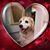 Amy Bell's profile image