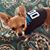Kristal Kiser's profile image