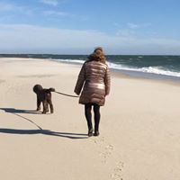 Cynthia Aragona's profile image