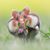 LaDonia Carr Franke's profile image