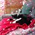 Lizzy Porter's profile image