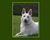 Yay! Good Job All! Y.'s profile image
