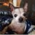 Michelle Kube Kelly's profile image