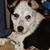 Cindi Martin's profile image