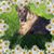 Kim London Francis's profile image