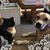 Nancy Leduc's profile image