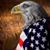 Dave Barton's profile image