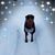 Cathy Williams's profile image