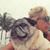 Linda Barbalinardo's profile image