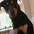 Douglas H Stutz's profile image