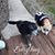 Dora Gamez-Ciciora's profile image