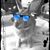 Donna Fields Freiermuth's profile image