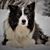 Celia Morner's profile image