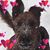 Wanda Richmond's profile image