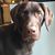 Lyn Stewart Nelson's profile image