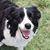 Susan Carlson's profile image