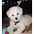 Wynne Kim's profile image