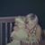 Kristin Engstrom Flora's profile image