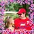Barb Wascavage's profile image
