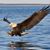 Dawn Tarr's profile image