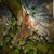 Rachel Garrett's profile image