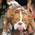 Jennifer Reyes's profile image