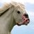 Josh Siau's profile image