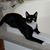Linda Curry's profile image
