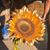 Barbra Cawley's profile image